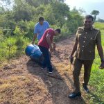 අවුරුදු සමයේ හාරලක්ෂයක මත්පැන් සමගින් සැක 17 අත්අඩංගුවට