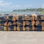 නීති විරෝධී ලෙස රැගෙන ආ බීඩි කොළ කිලෝ ග්‍රෑම් 1,300කට අධික තොගයක් කල්පිටියේදී නාවික හමුදා භාරයට