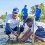 ජාත්‍යන්තර කඩොලාන දිනය වෙනුවෙන් පැල සිටුවීමේ වැඩසටහනක්