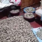 බදු නොගෙවු බීඩි තොගයක් අත්අඩංගුවට