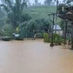 දැදුරුඔය  පිටාර මට්ටමට