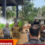වනජීවී ජීවිත සුරැකීමට තබ්බෝවේ දැවැන්ත ඒකාබද්ධ මෙහෙයුමක්