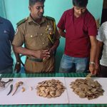 සෝදිසි මෙහෙයුමෙන් සත්ව කොටස් තොගයක් සමගින් සැක  2 ක් අත්අඩංගුවට